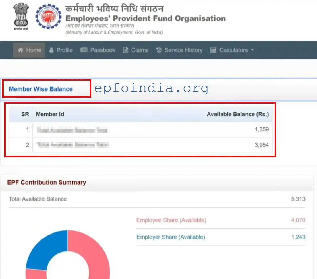 EPFO members wise balance